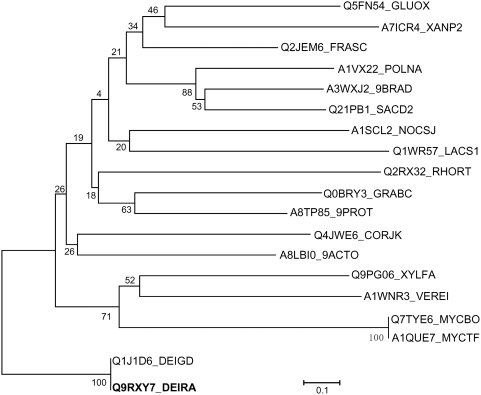 Figure 7