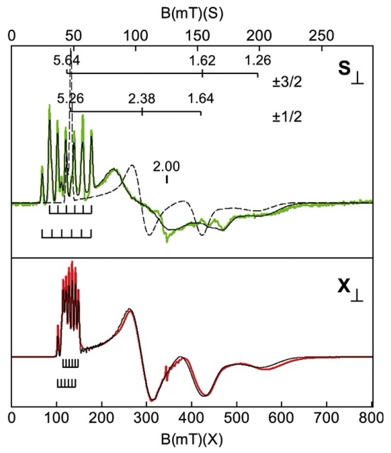 Figure 13