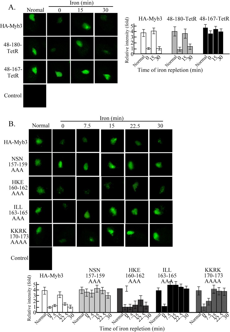 Fig 7