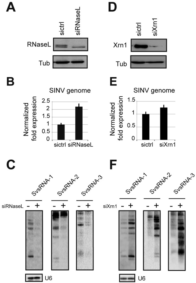 FIG 2 