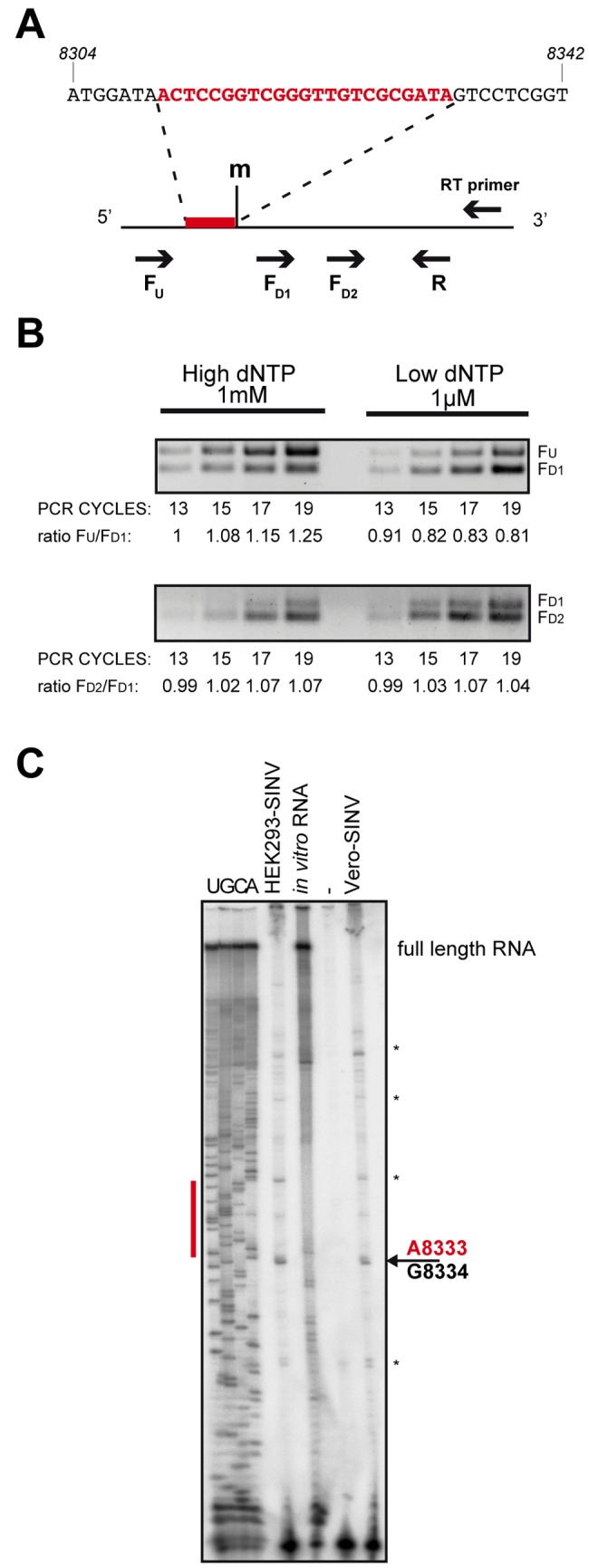 FIG 4 