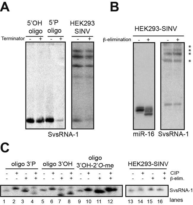 FIG 3 