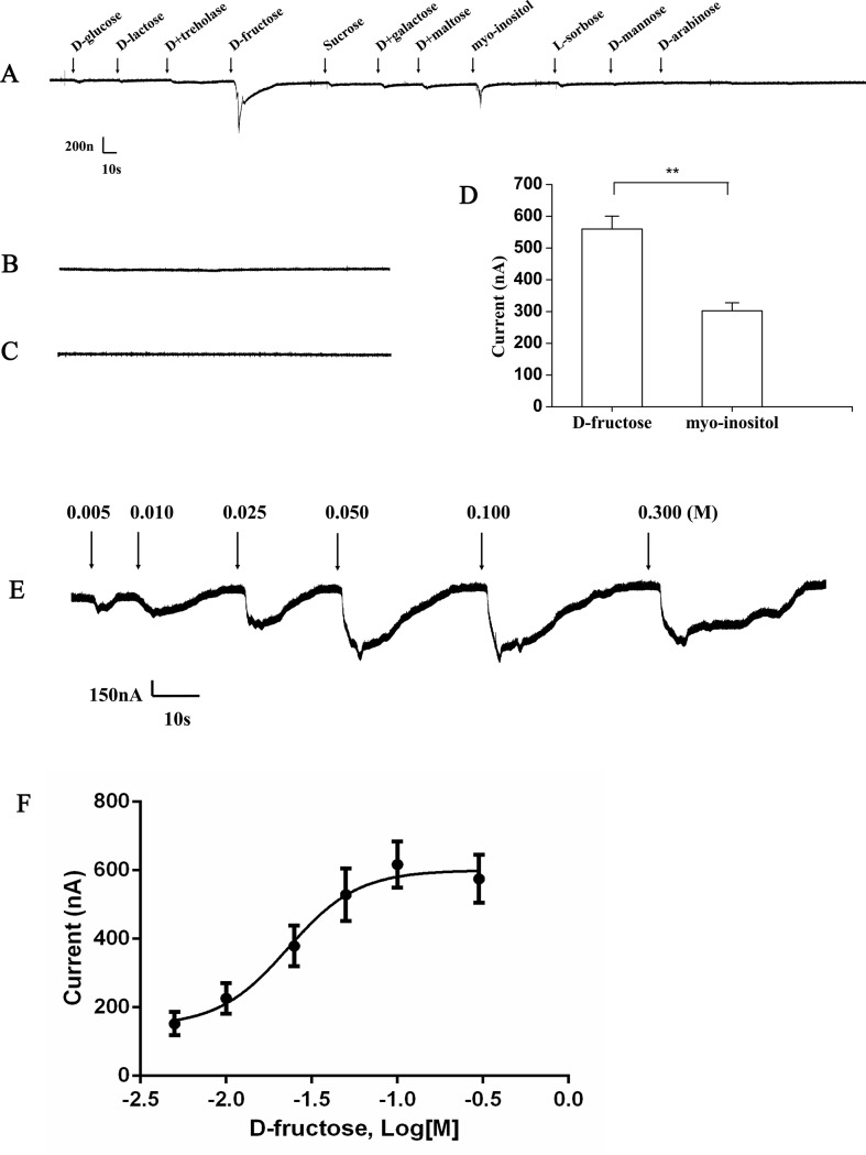 Fig 5