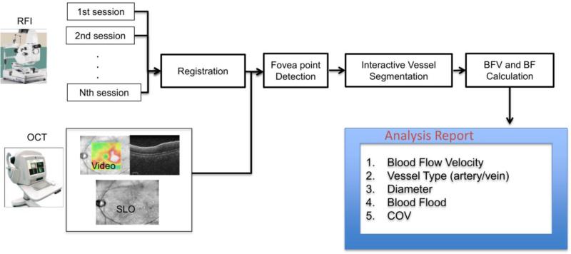 Fig. 2