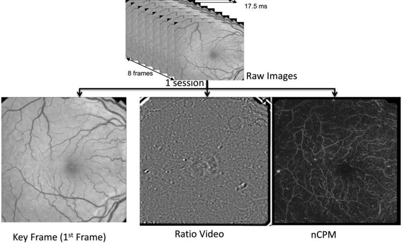 Fig.1