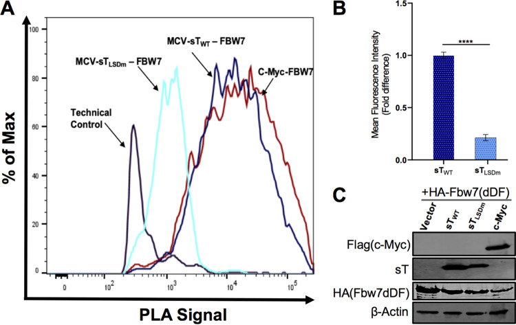 FIG 2