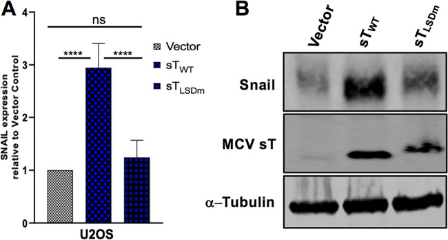 FIG 7