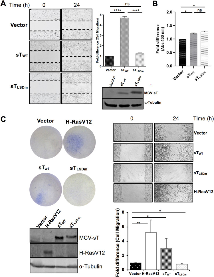 FIG 3