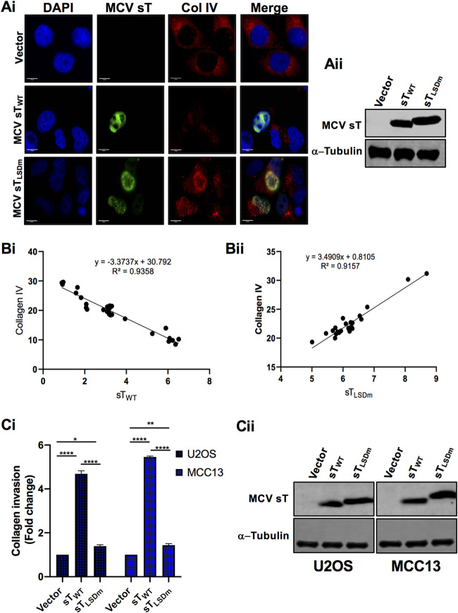 FIG 6