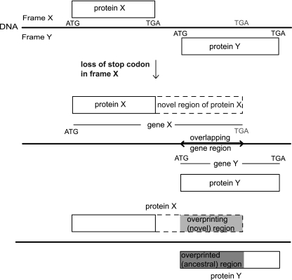 FIG. 1.