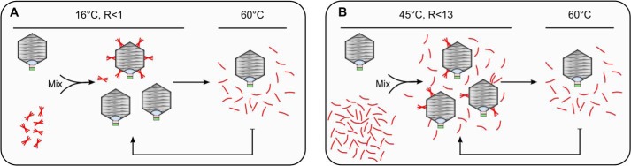 FIGURE 10.