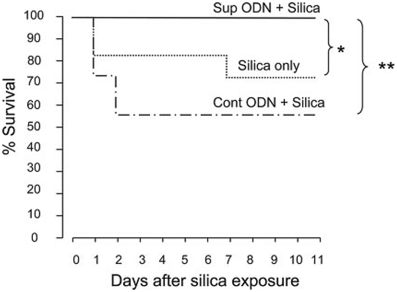 FIGURE 9.