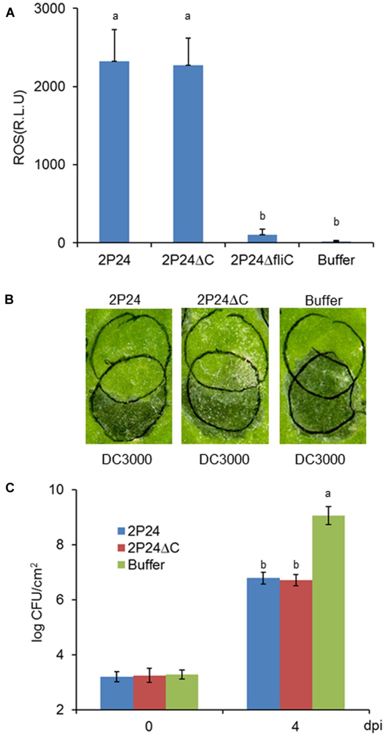 FIGURE 6