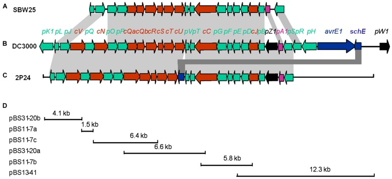 FIGURE 1