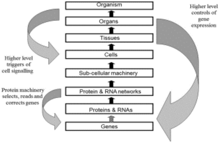 FIGURE 3