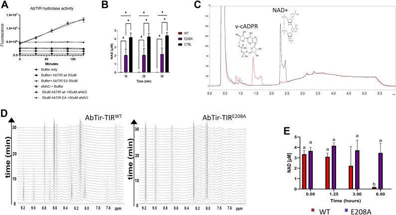 Figure 2