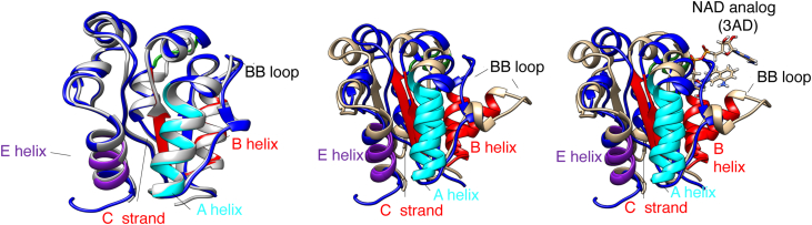 Figure 3