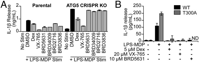 Fig. 5.