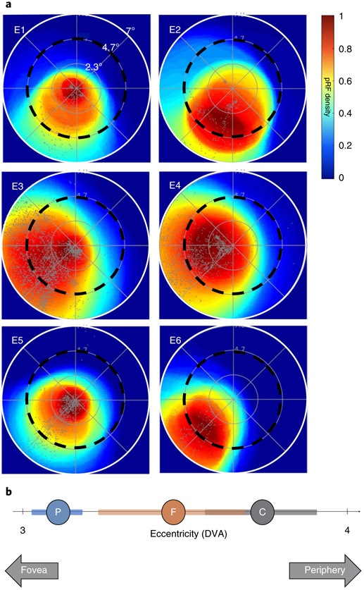 Fig. 6 ∣