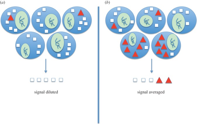 Figure 1.