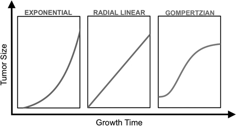 Fig. 1.