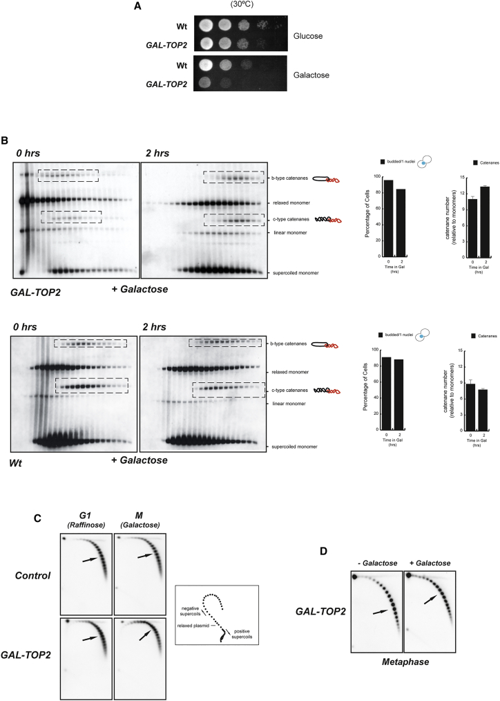 Figure 3