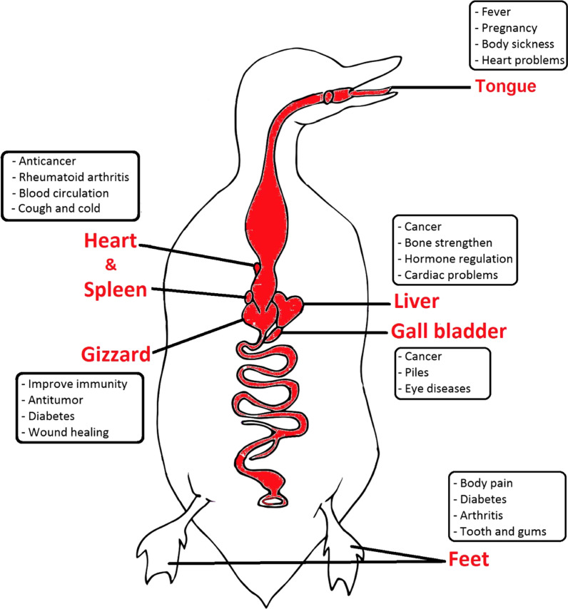 Fig. 10