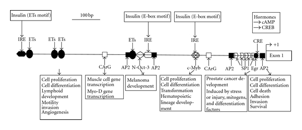 Figure 16