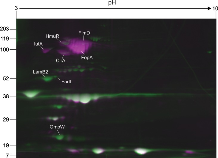 Fig 4