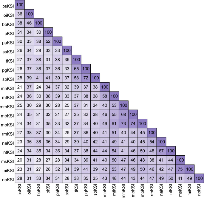 Figure 3—figure supplement 1.