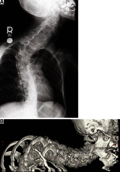 Fig. 5