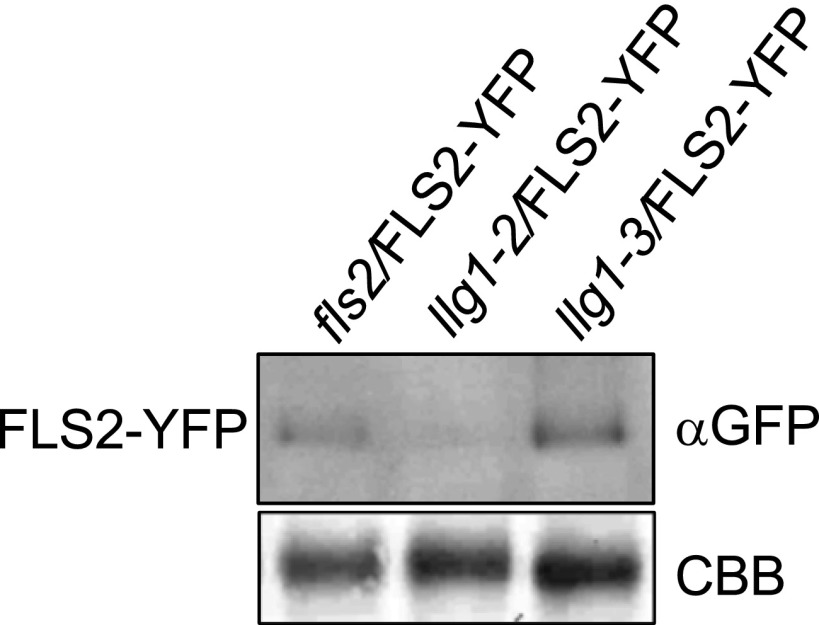 Fig. S9.