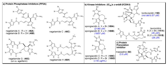 Fig. 11