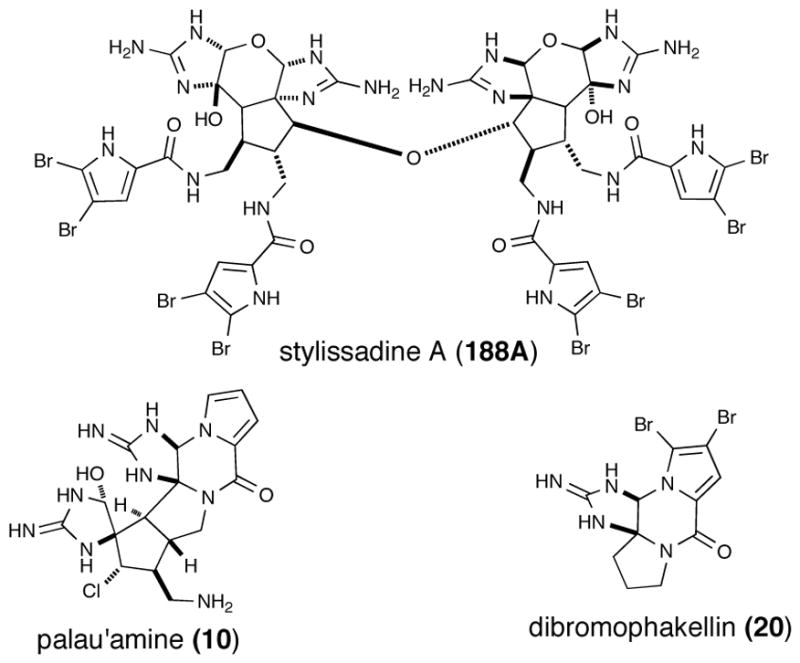 Fig. 10