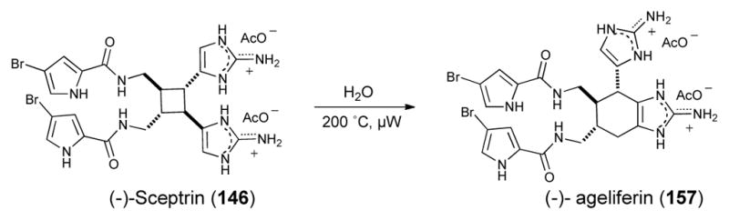 Scheme 24