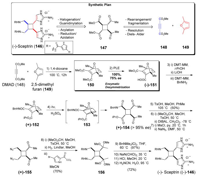 Scheme 23