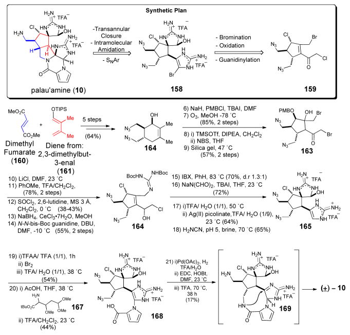 Scheme 25