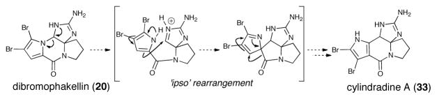 Scheme 6