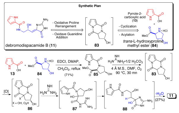 Scheme 17