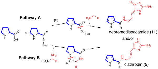 Scheme 1