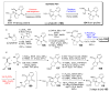Scheme 20