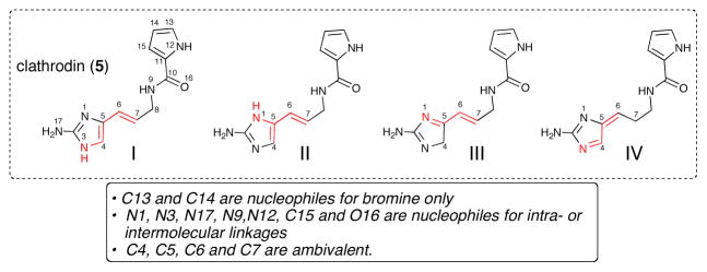 Scheme 9