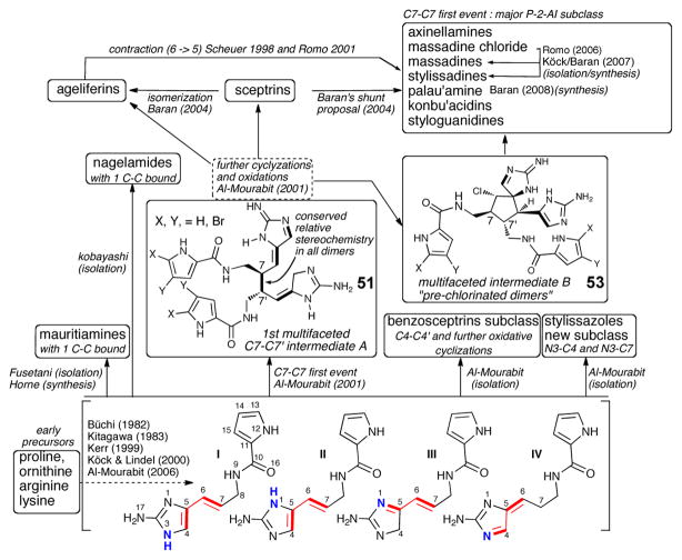 Scheme 15