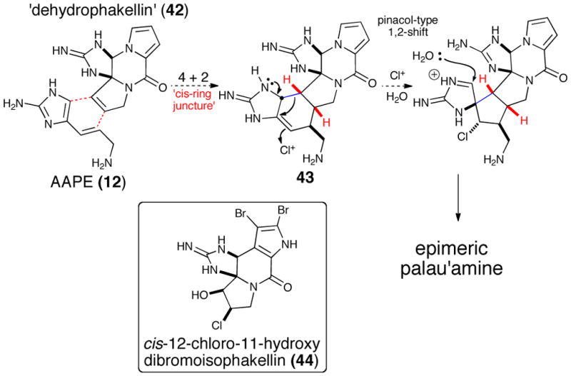 Scheme 8