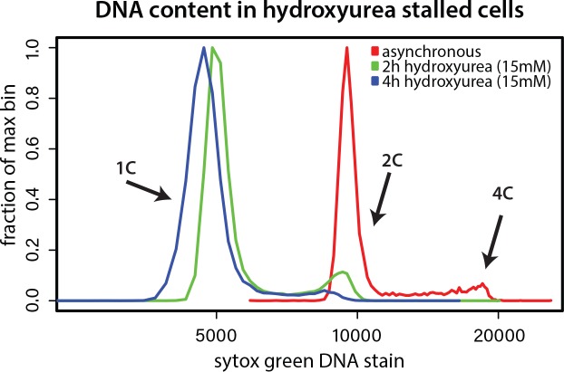 Figure 6—figure supplement 1.