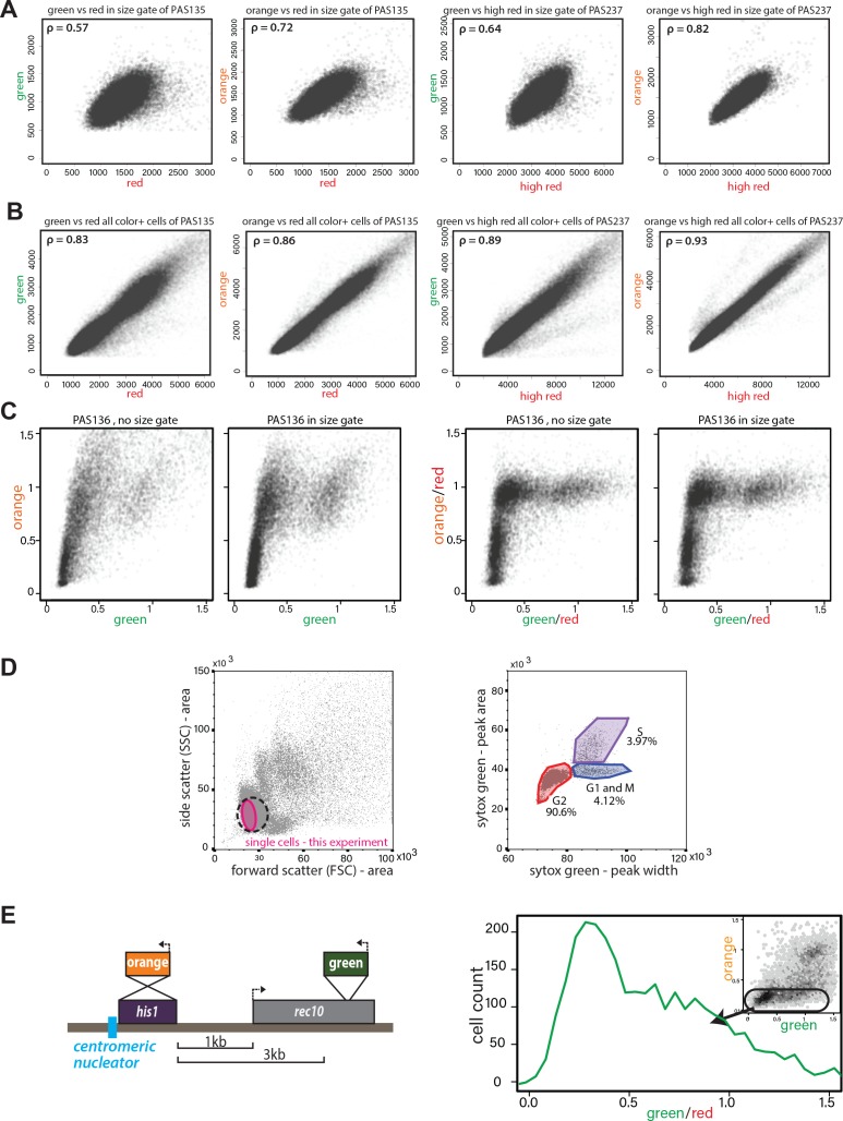 Figure 1—figure supplement 1.