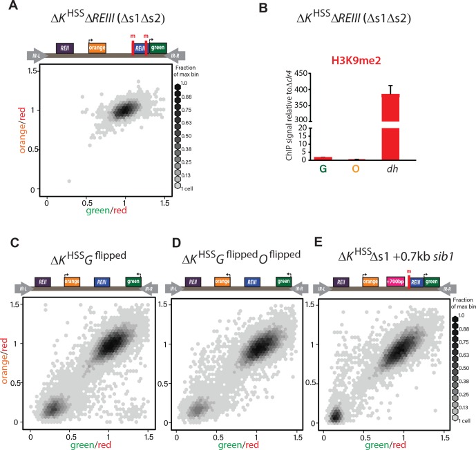 Figure 2—figure supplement 2.