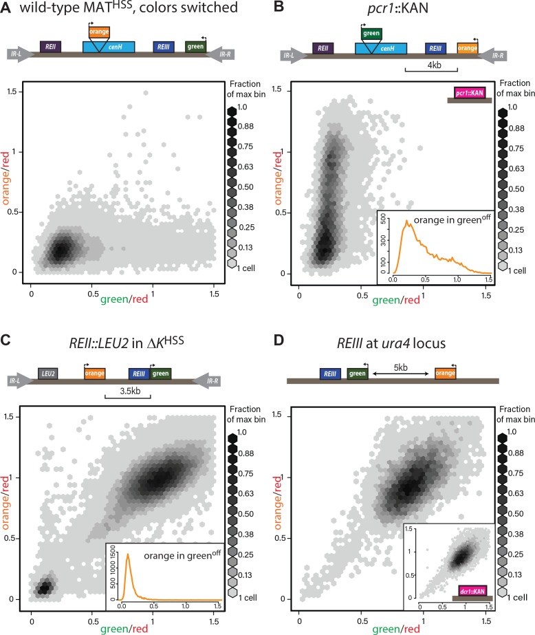 Figure 2—figure supplement 1.