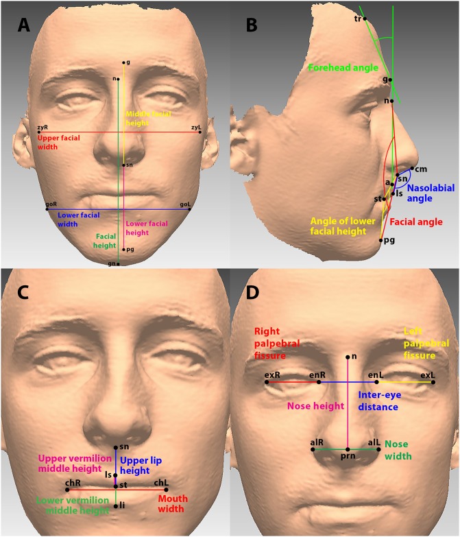 Fig 2