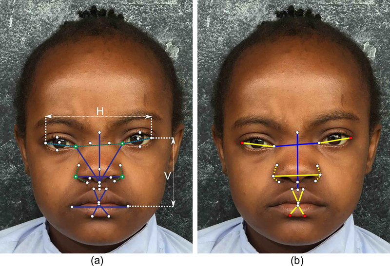 Fig. 1: